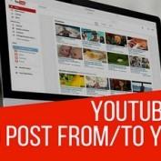 افزونه انتشار خودکار پست YouTube برای وردپرس Youtubomatic