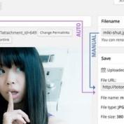 افزونه ویرایش آنلاین نام تصاویر در وردپرس Media File Renamer Pro