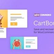 افزونه بازیابی سبد های رها شده در ووکارس CartBounty Pro
