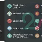افزونه ابزارهای کمکی برای مدیران شبکه وردپرس Beyond Multisite