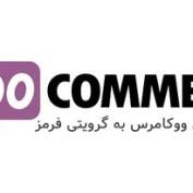 افزونه اتصال ووکامرس به گرویتی فرمز WooCommerce Gravity Forms Product Add-Ons