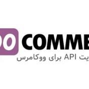 افزونه مدیریت API برای ووکامرس WooCommerce API Manager
