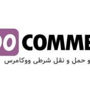 افزونه WooCommerce Conditional Shipping and Payments – افزونه درگاه و حمل و نقل شرطی در ووکامرس