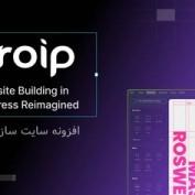 افزونه سایت ساز وردپرس Droip