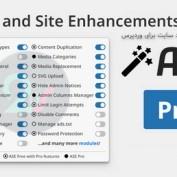 افزونه مدیریت و بهبود سایت برای وردپرس ASE PRO