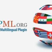 افزونه چند زبانه کردن سایت وردپرس WPML نسخه 4.6.13 به همراه افزودنی ها