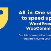 افزونه غیرفعال کردن Bloat برای وردپرس و ووکامرس Disable Bloat