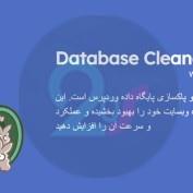افزونه پاکسازی دیتابیس وردپرس Database Cleaner Pro
