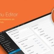 افزونه تغییر رابط کاربری مدیریت وردپرس Admin Menu Editor Pro نسخه 2.25
