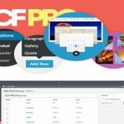افزونه فارسی مدیریت زمینه دلخواه وردپرس Advanced Custom Fields Pro نسخه 6.3.3