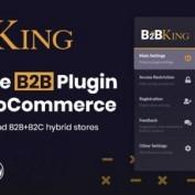 افزونه ووکامرس B2B و عمده فروشی B2BKing