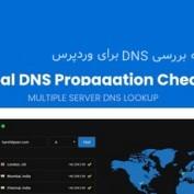 افزونه بررسی DNS برای وردپرس Global DNS