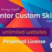 افزونه Elementor Custom Skin Pro – افزونه پوسته دلخواه المنتور