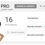 افزونه سفارشی سازی وردپرس Branda PRO